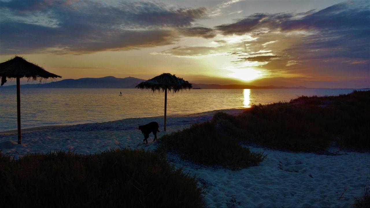 Studios Vrettos Beachfront Hotel Plaka  Luaran gambar